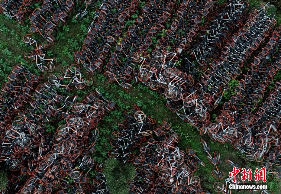 [凤凰网站登录下载]