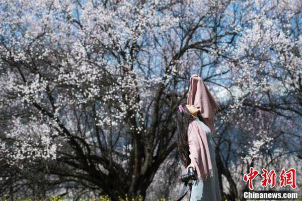 [凤凰网站登录下载]