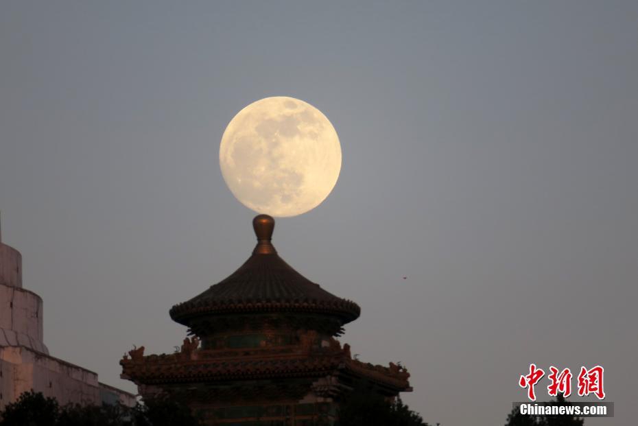 [凤凰网站登录下载]