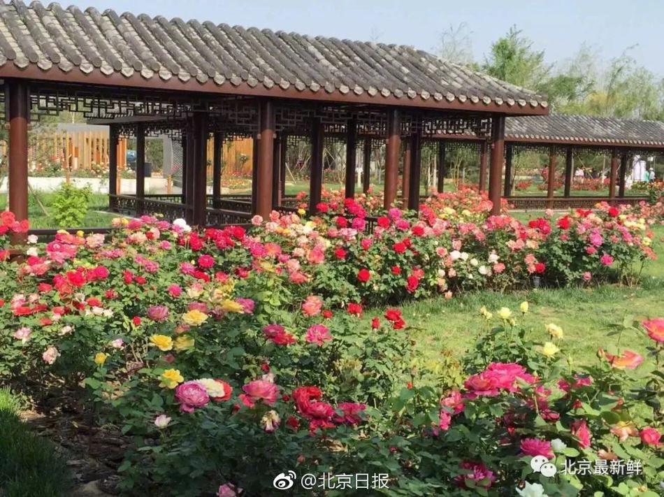 太吾绘卷和璇女派弟子结婚需要注意什么