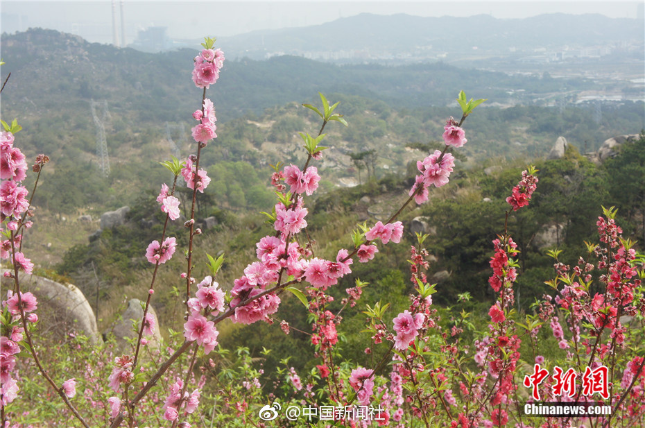 骑士精神2真实击杀数据怎么算