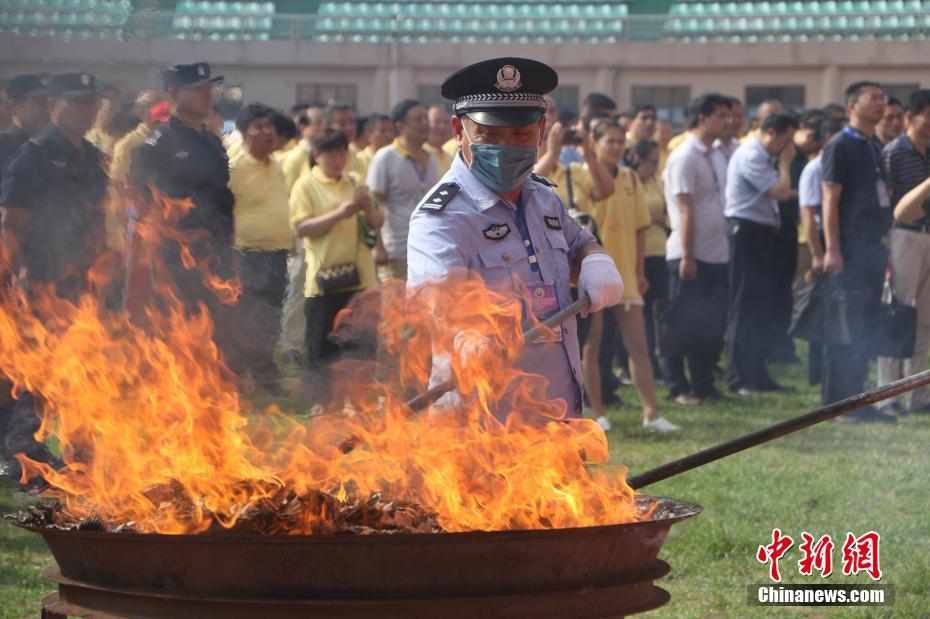 暗黑破坏神2祝福之锤圣骑士开荒期配什么装