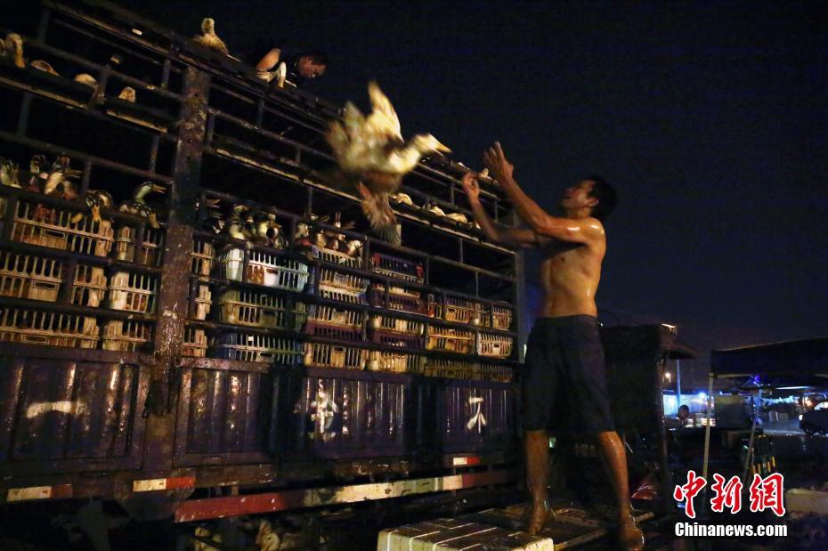 僵尸毁灭工程玩燃烧瓶需要注意什么